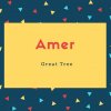 Amer Name Meaning Great Tree