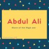 Abdul Ali