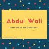 Abdul Wali