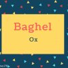Baghel Name Meaning Ox
