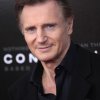 Liam Neeson 002