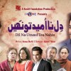 Dil Na Umeed Tou Nahin - Full Drama Information