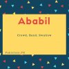 Ababil name meaning Crowd, Band, Swallow.