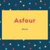Asfour Name Meaning is Bird
