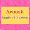 Aroosh name Meaning Angle of heaven.