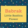 Babrak Name Meaning In Little Basilica Flower