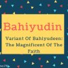 Bahiyudin Name Meaning Variant Of Bahiyudeen- The Magnificent Of The Faith