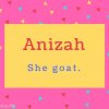 Anizah Name Meaning She goat..