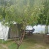 Hunza Panorama Hotel and Camping Site 1