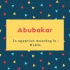 Abubakar Name Meaning In egyptian meaning is - Noble