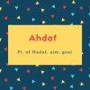 Ahdaf Name Meaning Pl. of Hadaf, aim, goal