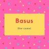 Basus Name Meaning She-camel