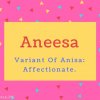 Aneesa Name Meaning Variant Of Anisa- Affectionate..