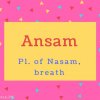 Ansam Name Meaning Pl. of Nasam, breath.