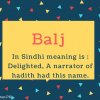 Balj Name Meaning In Sindhi meaning is - Delighted, A narrator of hadith had this name.