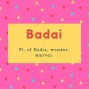 Badai Name Meaning Pl. of Badia, wonder, marvel
