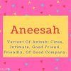 Aneesah Name Meaning Variant Of Anisah- Close, Intimate, Good Friend, Friendly, Of Good Company