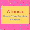 Atoosa name Meaning Name Of An Iranian Princess.