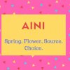 Aini Name Meaning Spring, Flower, Source, Choice.