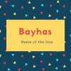Bayhas Name Meaning Name of the lion