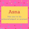 Asna name Meaning The one to be acknowledged or praised.