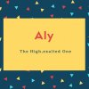 Aly Name Meaning The High,exalted One