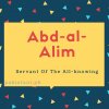 Abd-al-Alim name meaning Servant Of The All-knowing.