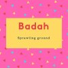Badah Name Meaning Sprawling ground