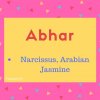 Abhar Name Meaning Narcissus, Arabian Jasmine.