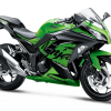 Kawasaki Ninja 300-green