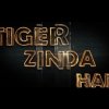 Tiger Zinda Hai 9