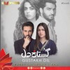 Gustakh Dil - Full Drama Information
