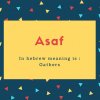 Asaf Name Meaning In hebrew meaning is _ Gathers