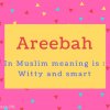 Areebah Name Meaning In Muslim meaning is - Witty and smart