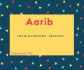 Aarib name meaning Handsome, healthy.