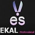 Ekal Surgical Works