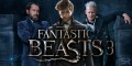 Fantastic Beasts and Where to Find Them 3 - Released Date, Actor names, Review