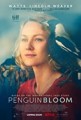Penguin Bloom - Released date, Cast, Review
