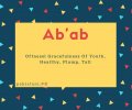 Ab'ab name meaning Oftnessl Gracefulness Of Youth, Healthy, Plump, Tall.