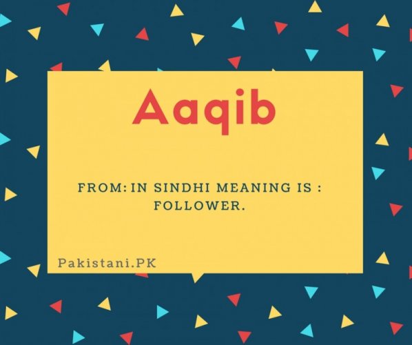 Aaqib name meaning In Sindhi meaning is - Follower.