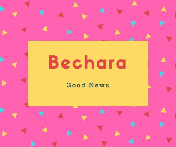 Bechara Name Meaning Good News