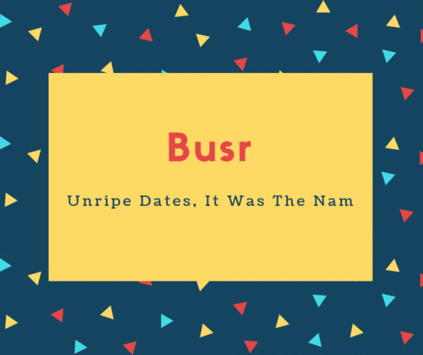Busr Name Meaning Unripe Dates, It Was The Nam