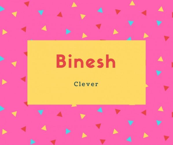 Binesh Name Meaning Clever
