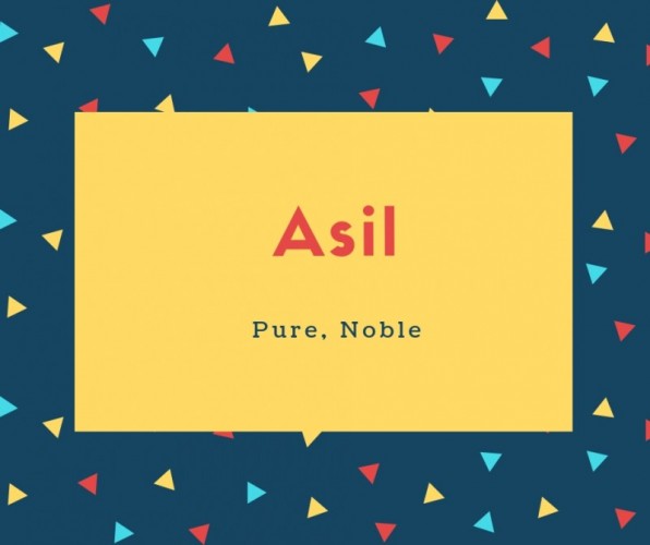Asil Name Meaning Pure, Noble
