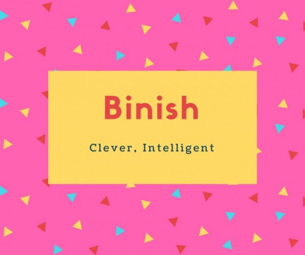Binish Name Meaning Clever, Intelligent