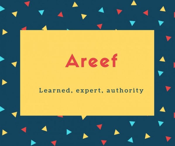 Areef Name Meaning Learned, expert, authority