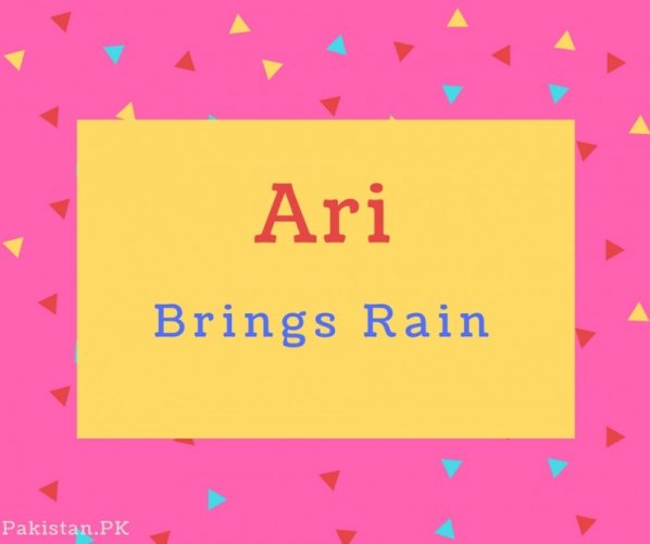 Ari Name Meaning Brings Rain.