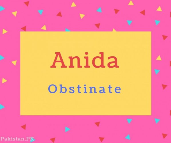 Anida Name Meaning Obstinate.
