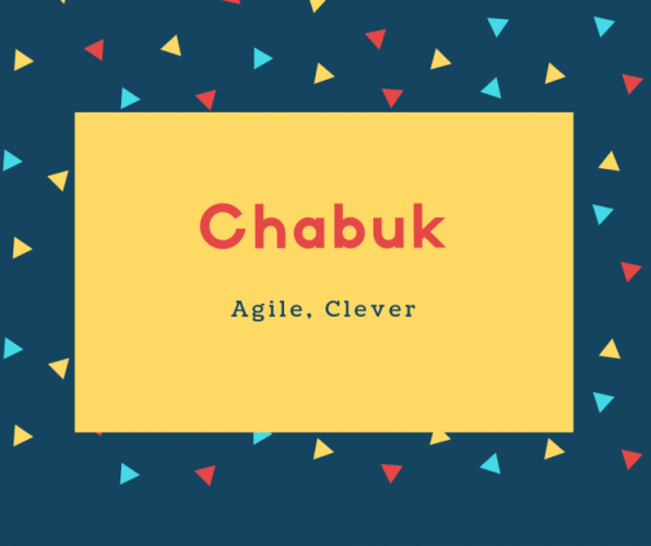 Chabuk Name Meaning Agile, Clever