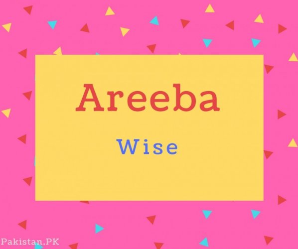 Areeba Name Meaning Wise.